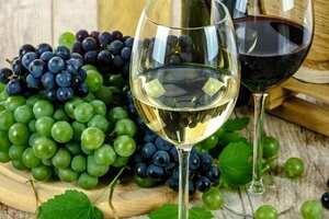 不同地域葡萄酒应该怎么储存？