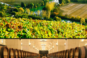法国阿尔萨斯葡萄酒产区是怎样的？