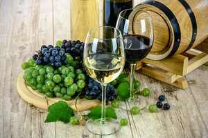 对于优质干白葡萄酒是酿造工艺（干白葡萄酒的酿造工艺）