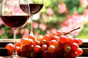 葡萄酒常见的酿酒品种我们能看到什么呢？