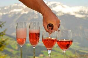 桃红葡萄酒的生产