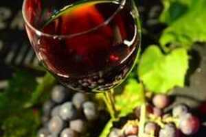 大家是否知道自制山葡萄酒的酿制方法呢？