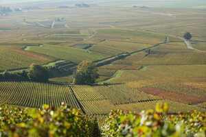 南非葡萄酒产区，你去过吗？（南非葡萄酒主要产区）