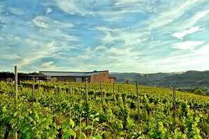 有谁是比较熟悉西班牙的普利奥拉托葡萄酒产区的呢？