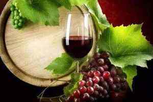 意大利马凯葡萄酒产区有哪些葡萄酒呢