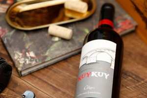 宝马庄之葡萄酒的酿造你真的了解吗？