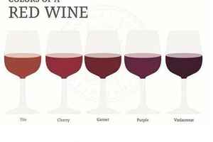 葡萄酒如何分类？葡萄酒常见的基本分类标准介绍