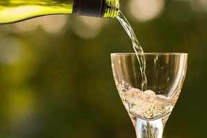酿造白葡萄酒的过程是怎样的？（酿造白葡萄酒的葡萄品种有哪些）