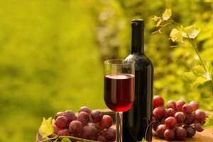 怎样的葡萄酒才是比较适合窖藏的呢？大家知道哪款吗？