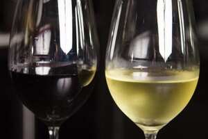一起跟酿酒师学酿葡萄酒！