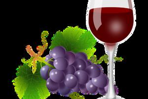 品丽珠葡萄酒的特点，种植情况是怎么样的呢？