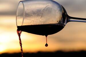 制作葡萄酒的过程中发酵液有什么变化