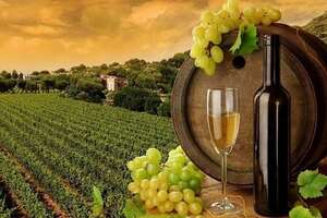 葡萄酒的口味受产区的影响是怎么样的呢？