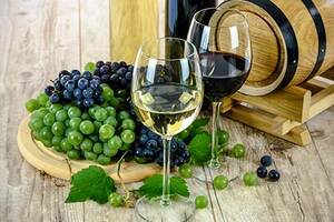 酿葡萄酒的葡萄品种有哪些呢？（酿葡萄酒的葡萄品种）
