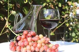 法国波尔多代表性的葡萄品种是（法国波尔多代表性的葡萄品种有哪些）