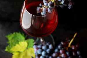 认识世界第二大酿酒葡萄品种美乐