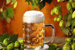 啤酒生产过程色度物质的形成因素「啤酒的颜色主要来源于」