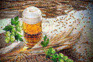 德国什么品牌的啤酒好喝,德国啤酒哪个牌子的好喝