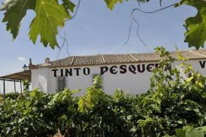 西班牙葡萄酒教父酒庄——佩斯特拉TintoPesquera