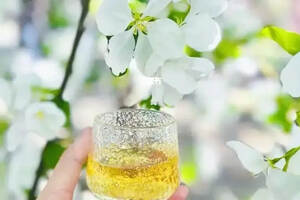春暖花开与酒有约