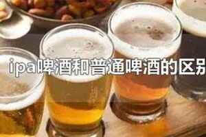 ipa啤酒和普通啤酒的区别（ipa啤酒和精酿啤酒的区别）