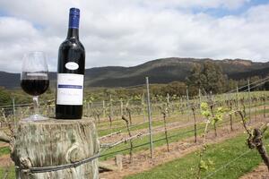200多年历史的澳大利亚葡萄酒简介