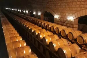 葡萄酒的酿造如生命的诞生，一瓶好的葡萄酒需要酿酒师的精心培养