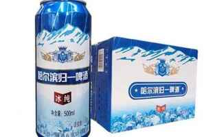 哈尔滨冰纯啤酒图片