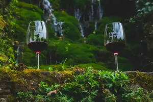 为什么二氧化硫在葡萄酒中不可或缺？