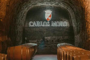 CarlosMoro酒庄——以卓越和质量为标志的西班牙酒庄