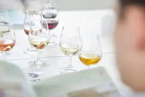 解惑-WSET葡萄酒认证课程究竟要怎么选？