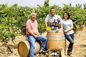 炫丽之巅·贺兰晴雪-TA改变了世界对中国葡萄酒的偏见