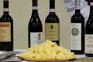 意大利葡萄酒这么复杂，作为新手的我们怎么办？