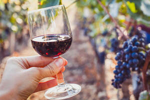 在葡萄酒酿造中，什么是冲酒和泵酒？它们重要吗？