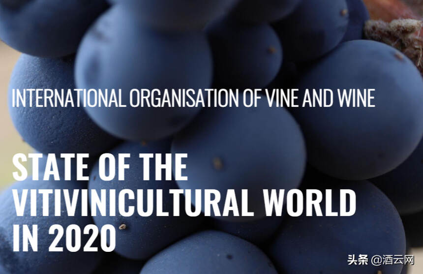 2020年全球葡萄酒消费量下降3%，中国下滑17% | OIV最新数据出炉
