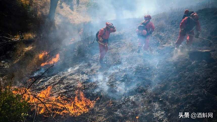 加州索诺玛突发重大野火，一夜烧焦16000多英亩土地