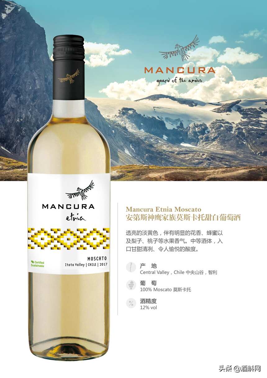 智利知名酒庄——安第斯神鹰（Mancura）