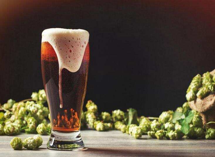 天泰啤酒设备专家分享的啤酒酵母的分类
