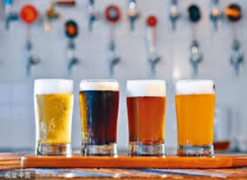 专业啤酒设备厂家对啤酒种类的认识