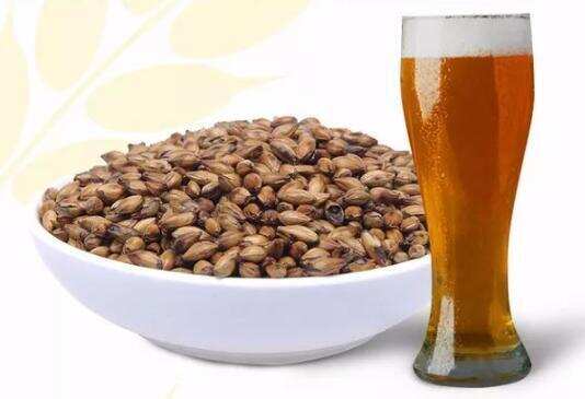 “每粒麦芽都有属于自己的啤酒和酿造师”
