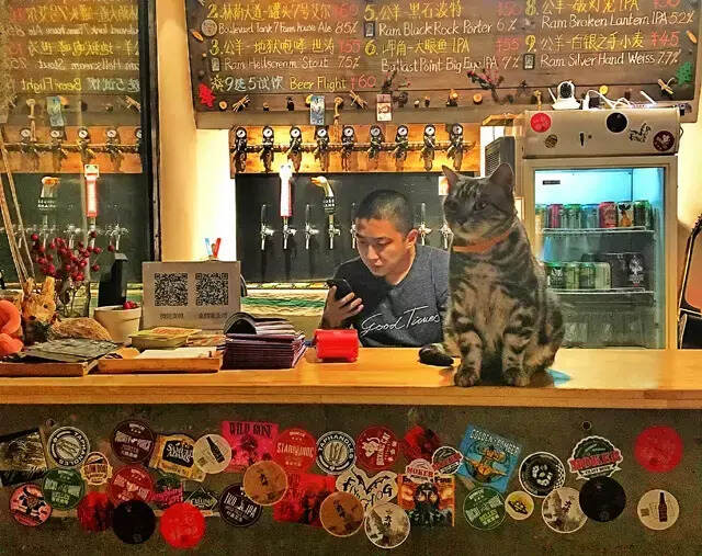 北京酒吧老板图鉴：在798酿造艺术的男人