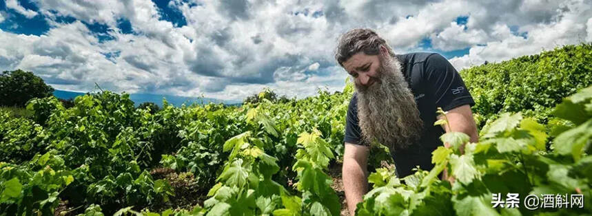 这个47岁还单身的男人是西班牙现在最红的酿酒师