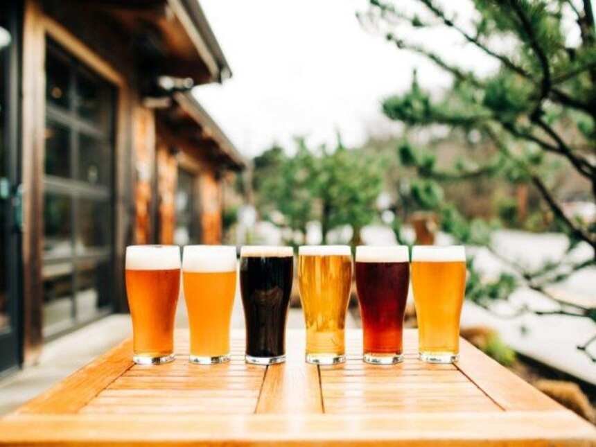 啤酒酿造中添加啤酒花的技巧是什么？