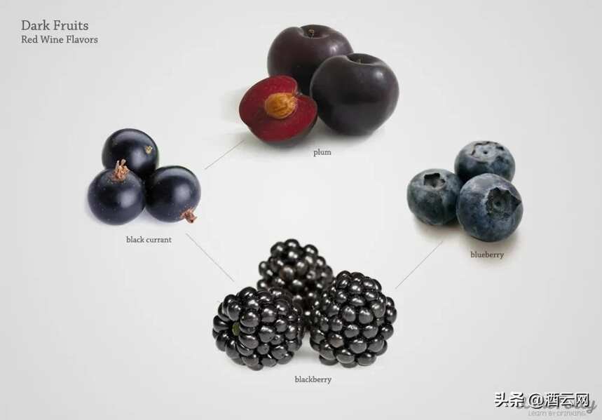 葡萄酒中的红色水果和黑色水果究竟是什么？