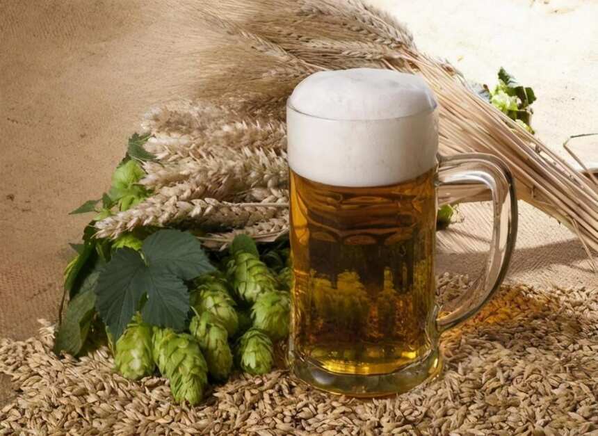 自酿啤酒原料之麦芽的制造
