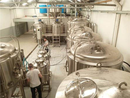 自酿啤酒工艺过程中酵母的碳水化合物代谢