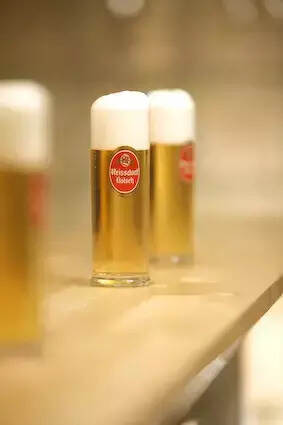 夏日饮酒指南｜被你严重低估的“啤酒混血儿”：科隆啤酒！