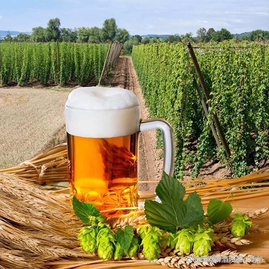 啤酒发酵中的脂质及其影响因素