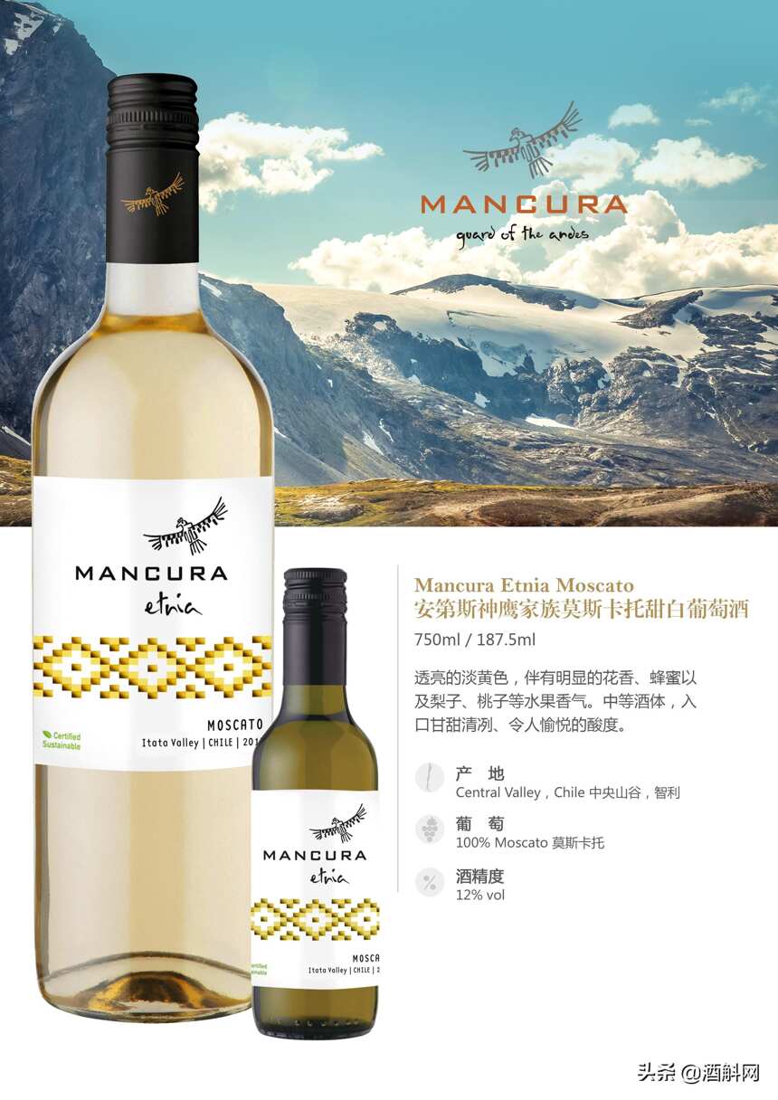 智利知名酒庄——安第斯神鹰（Mancura）