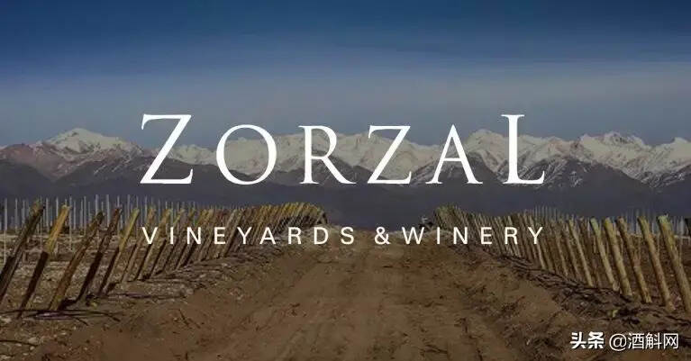 一瓶真正的自然酒的诞生丨Zorzal酒庄专访